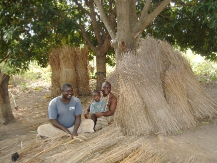 Farm Benue State Nigeria